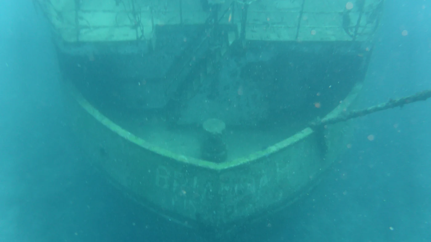 Diving in Barbados — Barbados · Carlisle Bay