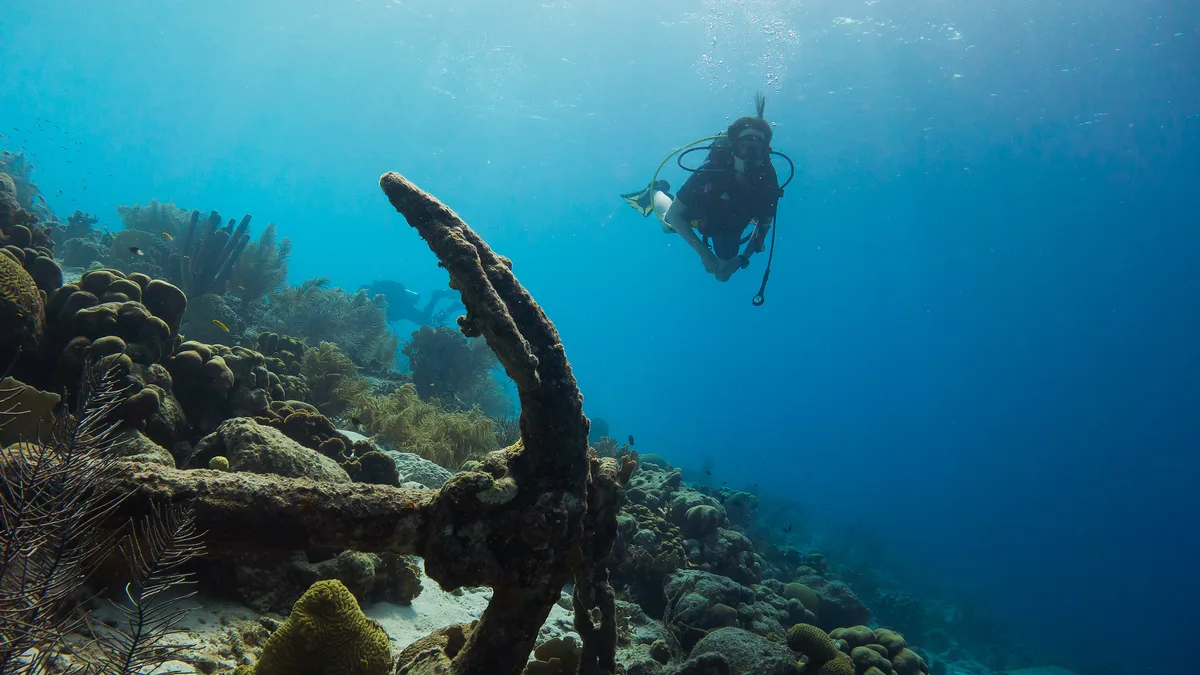 Diving in Caribbean Netherlands — Bonaire · West Coast Reefs
