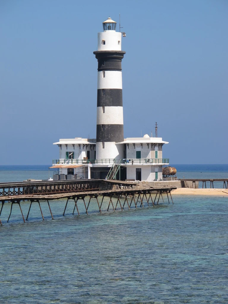 Diving at Daedalus Reef