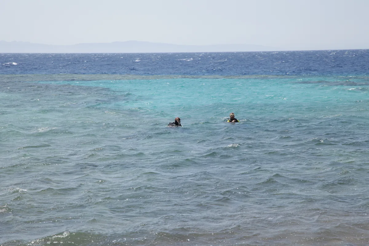 Diving at Dahab · The Canyon