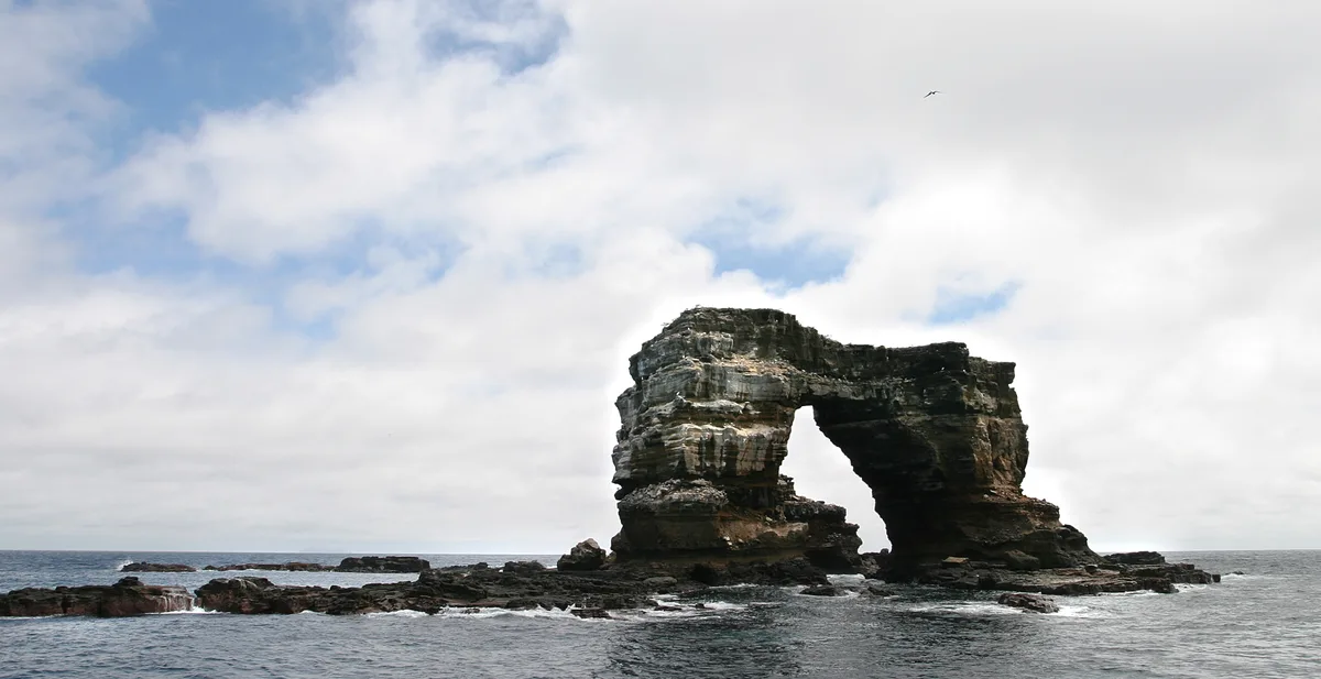 Diving in Ecuador — Darwin · Pillars of Evolution