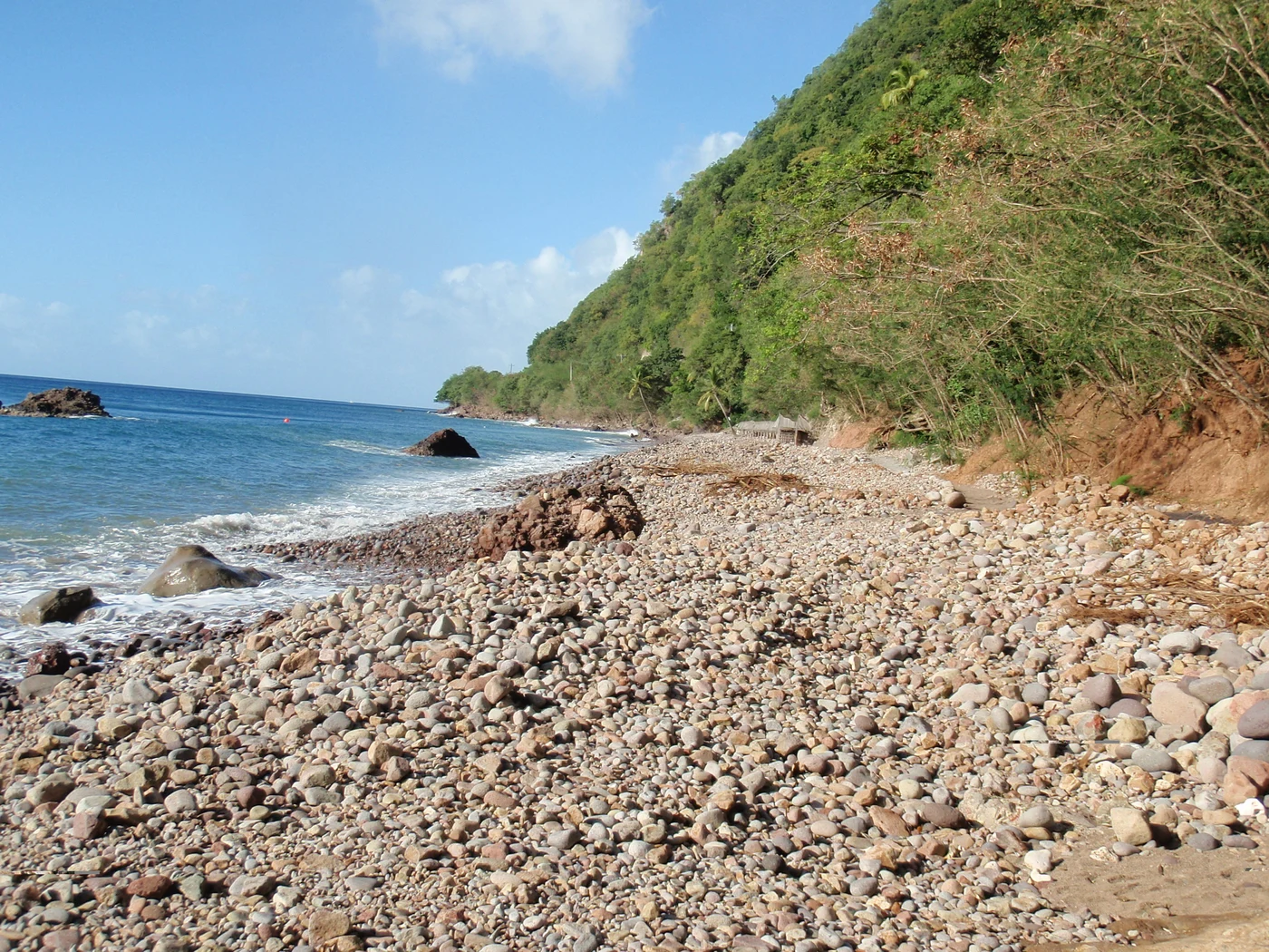 Diving in Dominica — Dominica · Champagne Reef