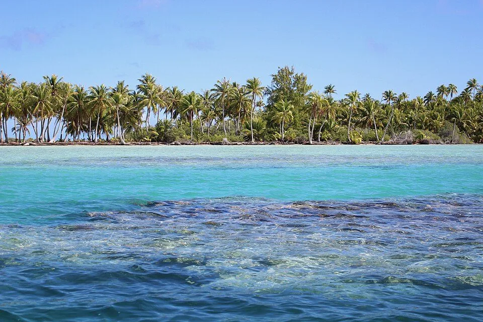 Diving at Fakarava · South Pass