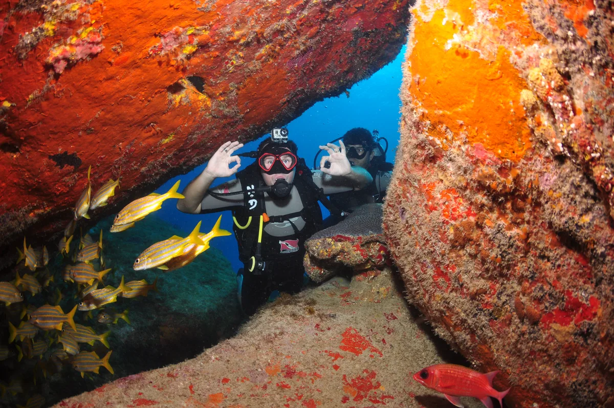 Diving in Brazil — Fernando de Noronha