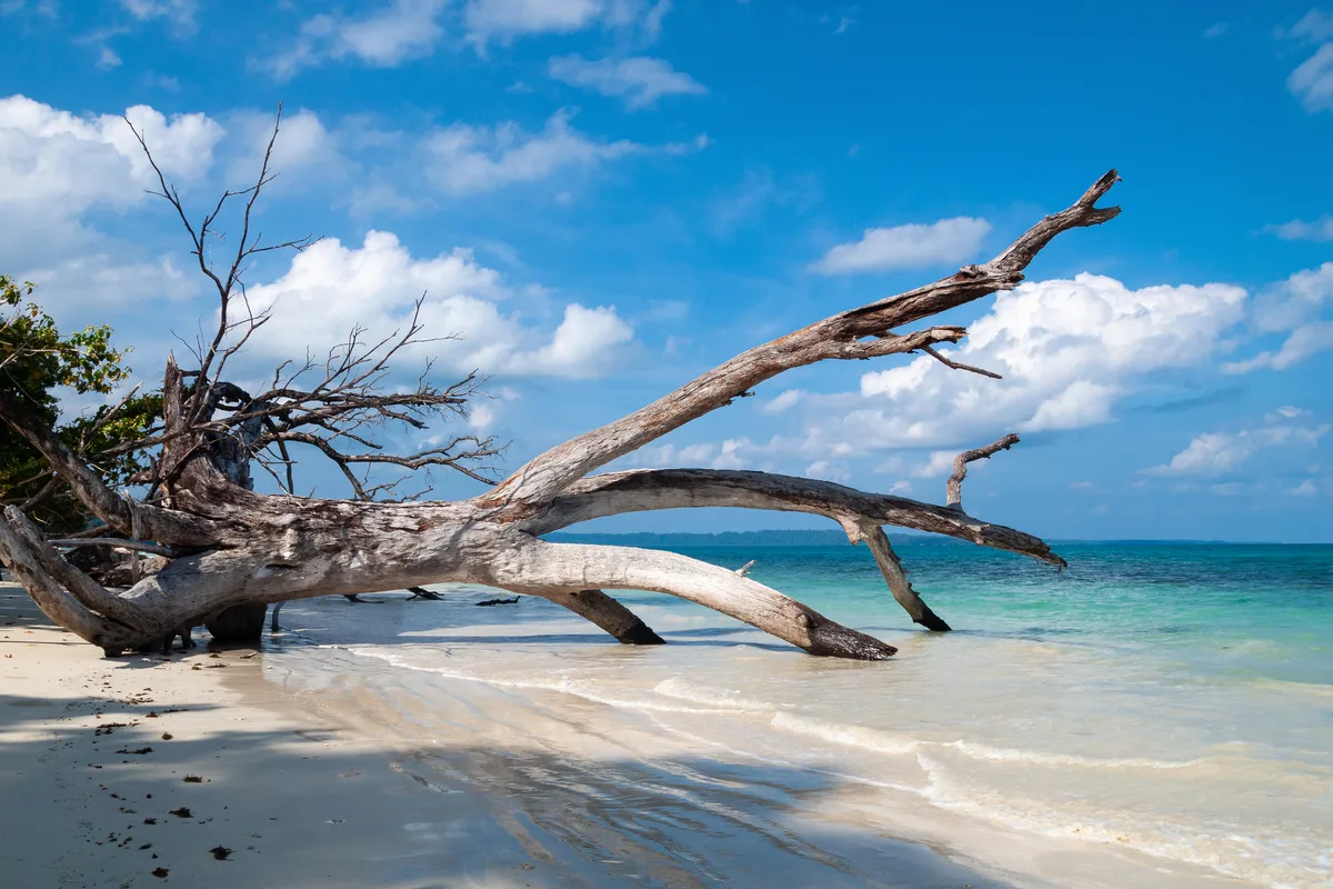 Diving in India — Havelock · Swaraj Dweep