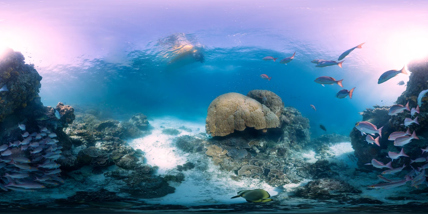 Diving at Heron Island · Heron Bommie