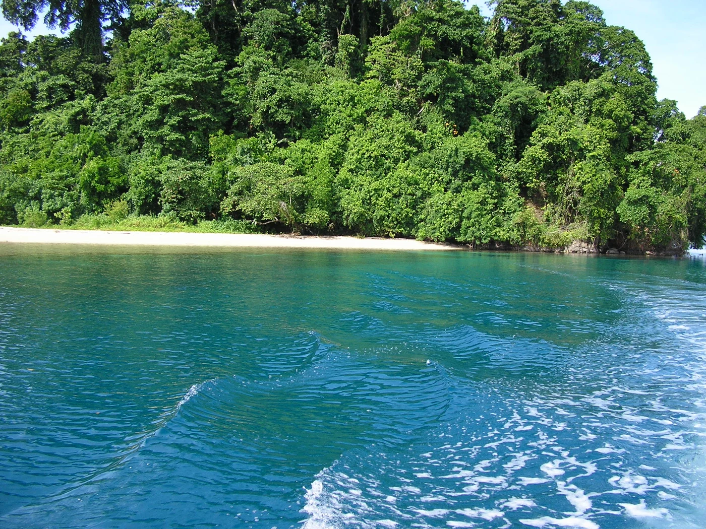 Diving in Papua New Guinea — Kimbe Bay