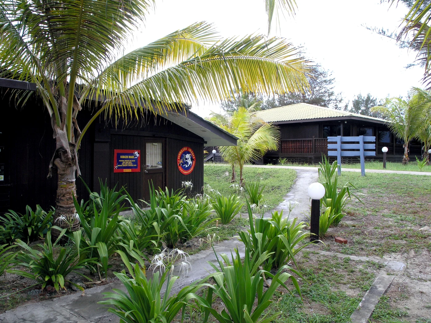 Diving at Layang Layang