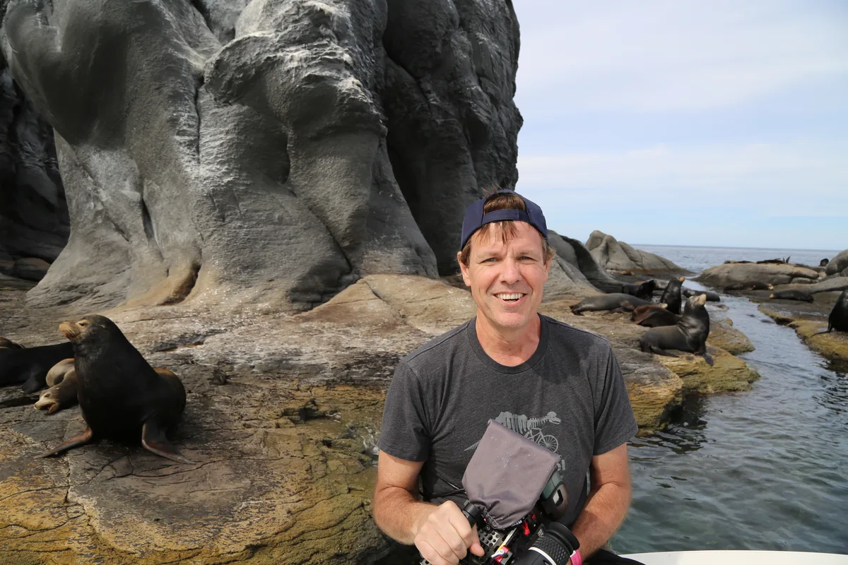 Diving at La Paz · Los Islotes