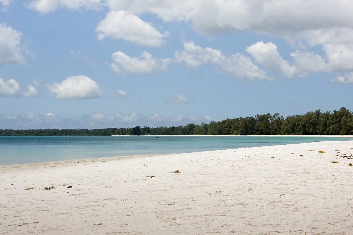 Diving in Tanzania — Pemba · Njao Reefs