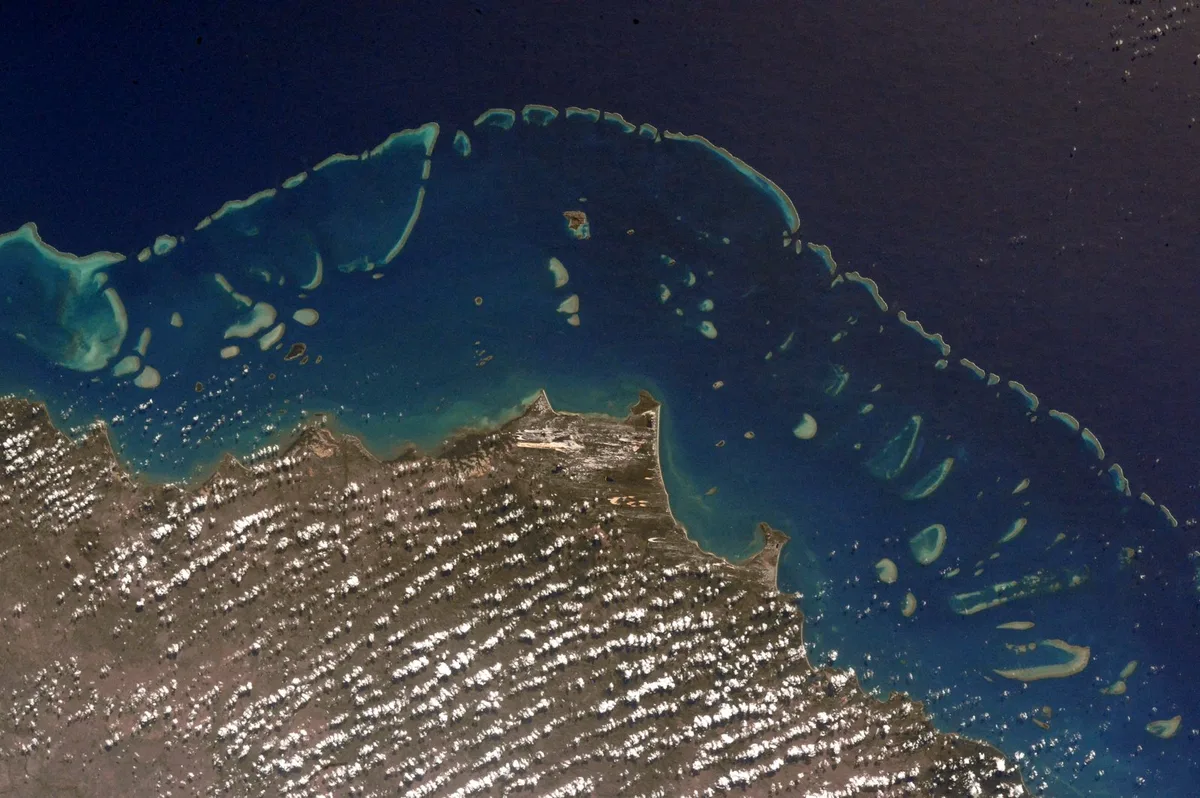 Diving at Great Barrier Reef · Ribbon Reefs