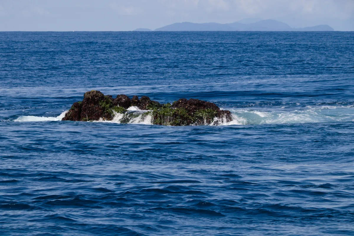 Diving in Thailand — Richelieu Rock