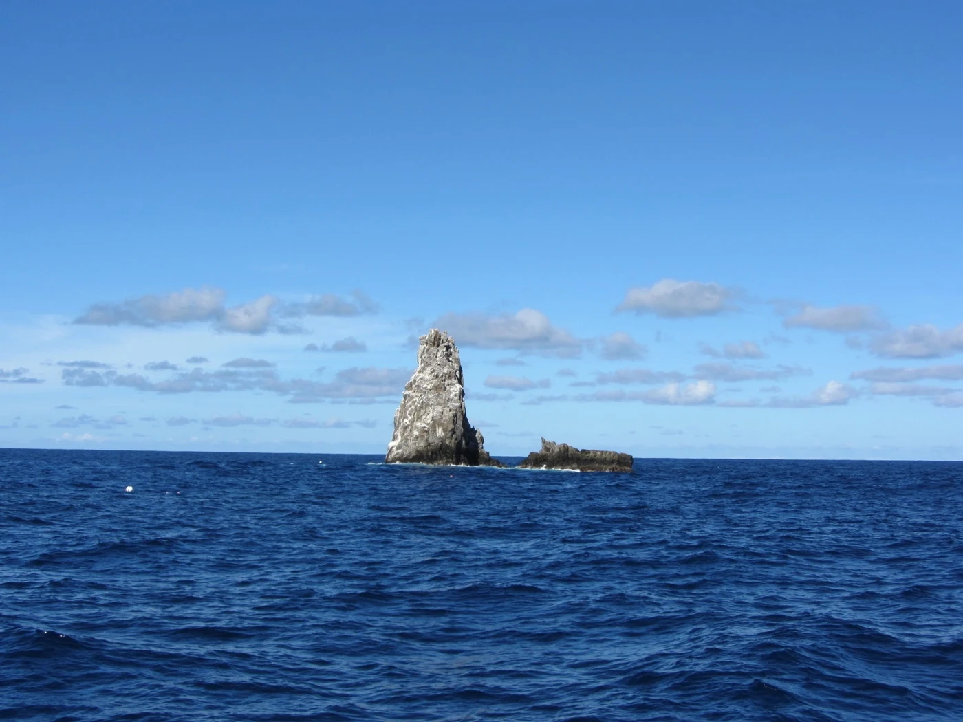 Diving at Saba · Tent Reef