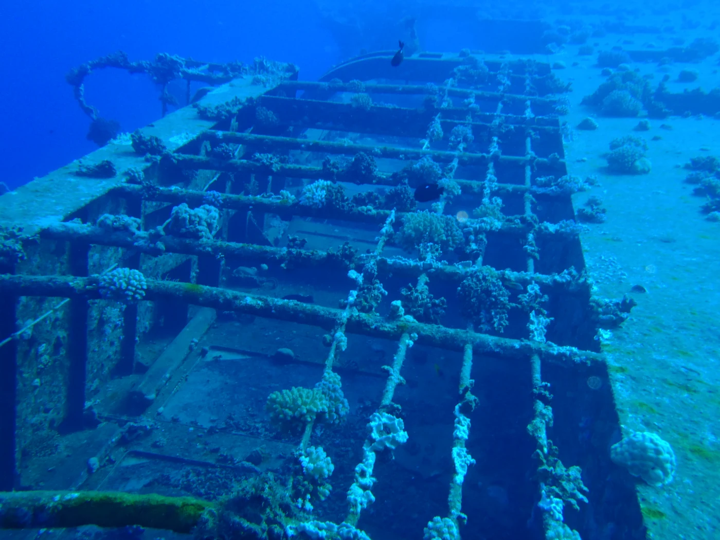 Diving at Safaga · Salem Express
