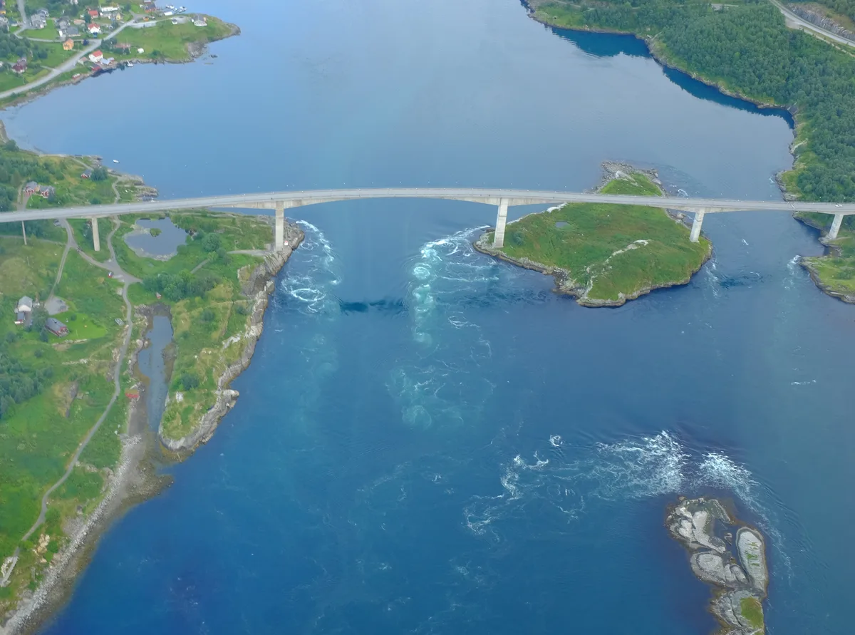 Diving in Norway — Saltstraumen