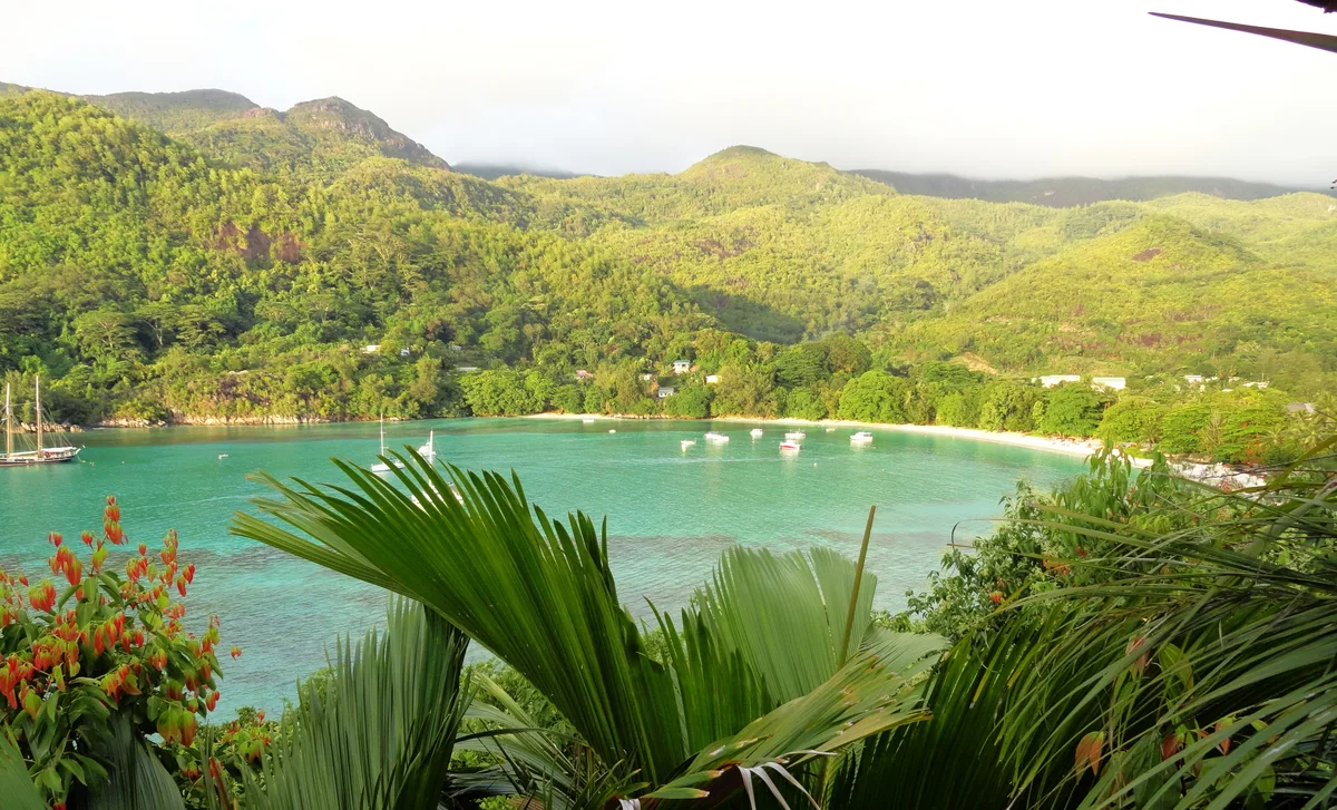 Diving in Seychelles — Seychelles · Mahé Reefs
