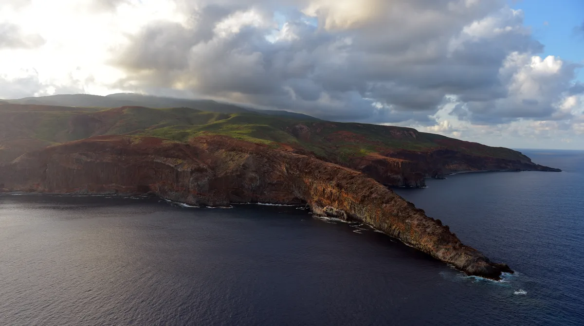 Diving at Socorro · Revillagigedo