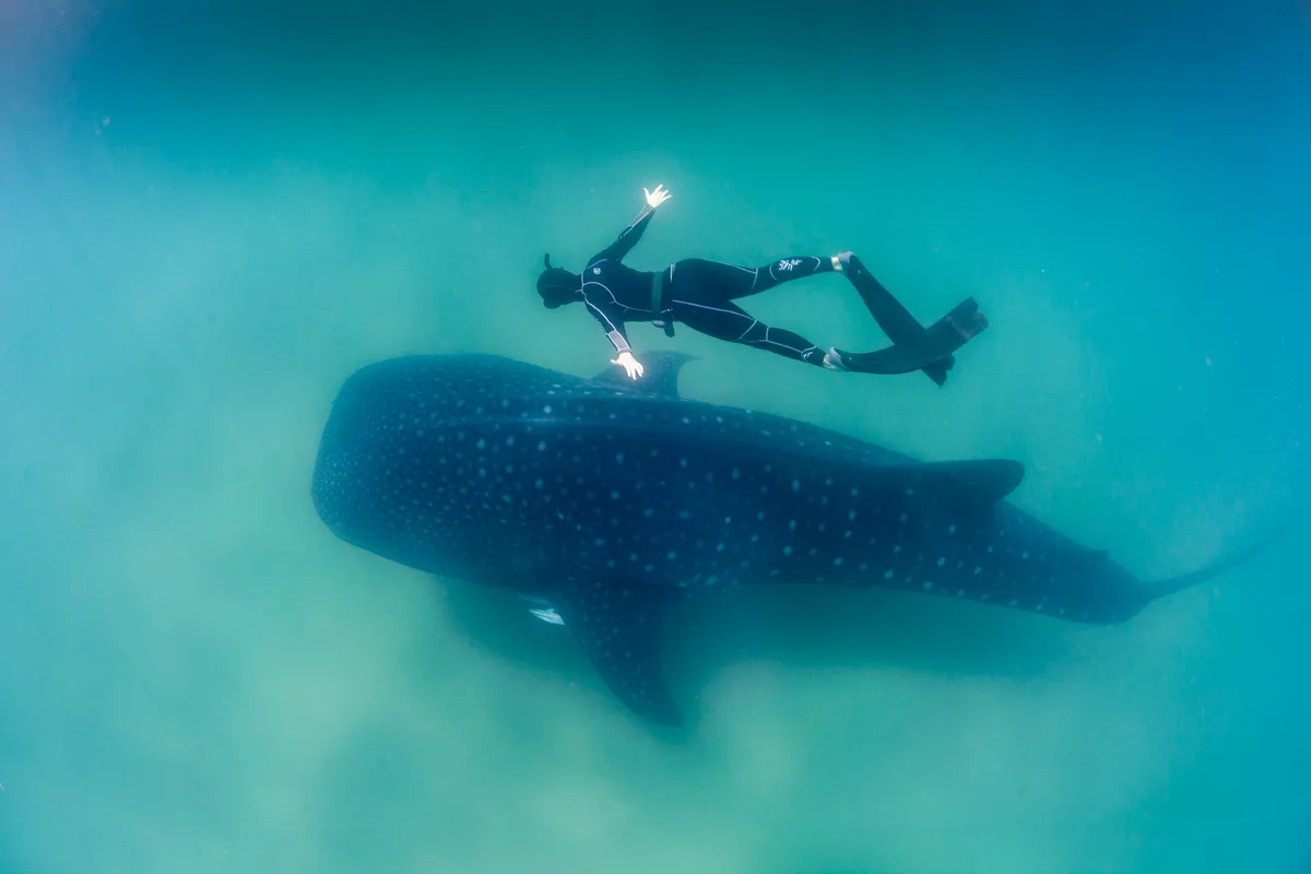 Diving at Sodwana Bay