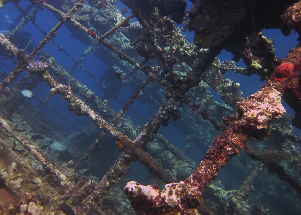 Diving in Sudan — Sudan · Umbria Wreck